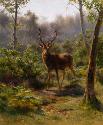 Stag standing in a lush forest clearing, surrounded by trees and greenery, under a soft, misty sky.